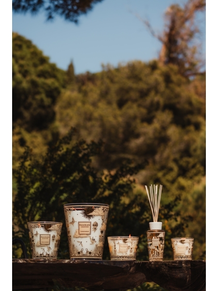 Baobab GEURKAARS MAX 10 TOMORROWLAND