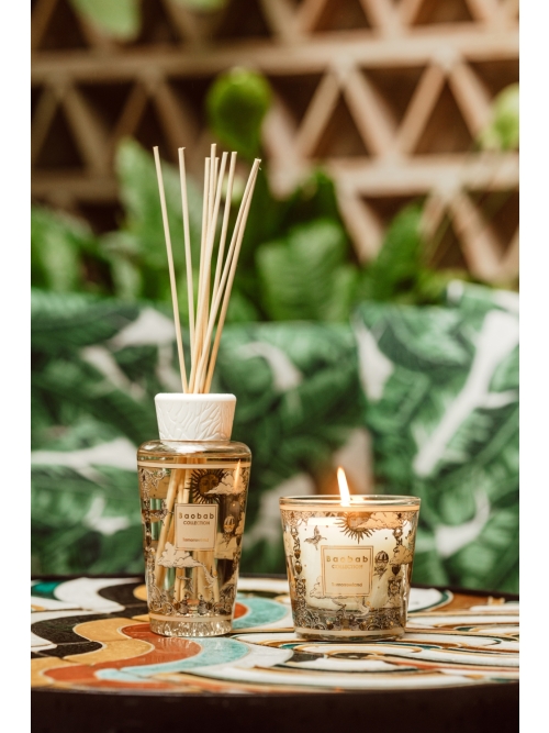 Baobab GEURKAARS MAX 10 TOMORROWLAND foto 3