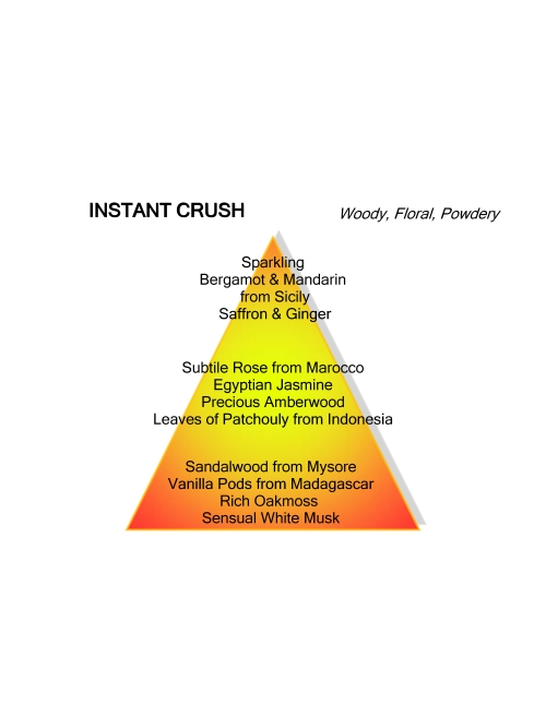 Mancera Instant Crush 60ML foto 2