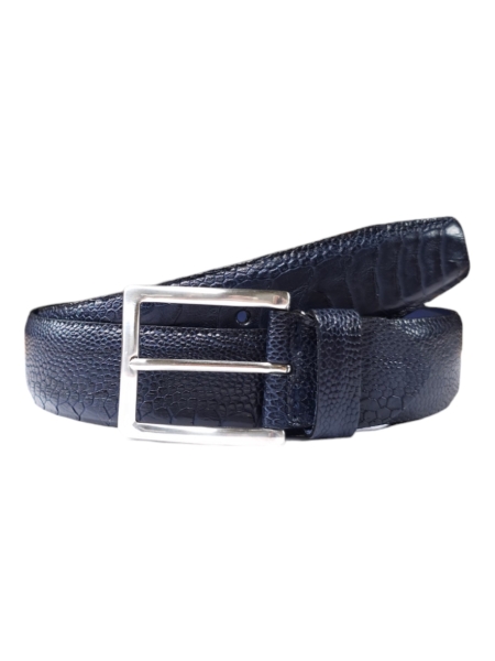 j.p.l.c. 697. D.Blauw