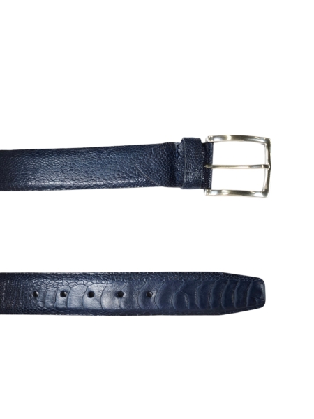 j.p.l.c. 697. D.Blauw