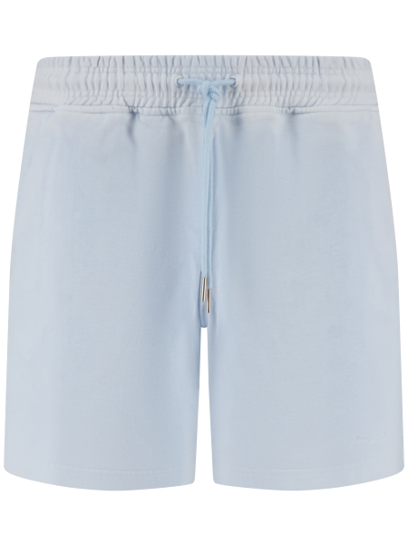Brams fruit HS26-2097 BLUEBERRY BLUE