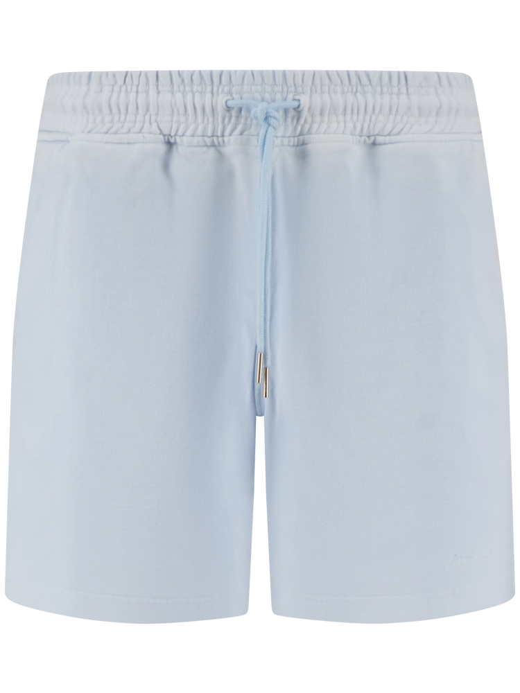 Brams fruit HS26-2097 BLUEBERRY BLUE