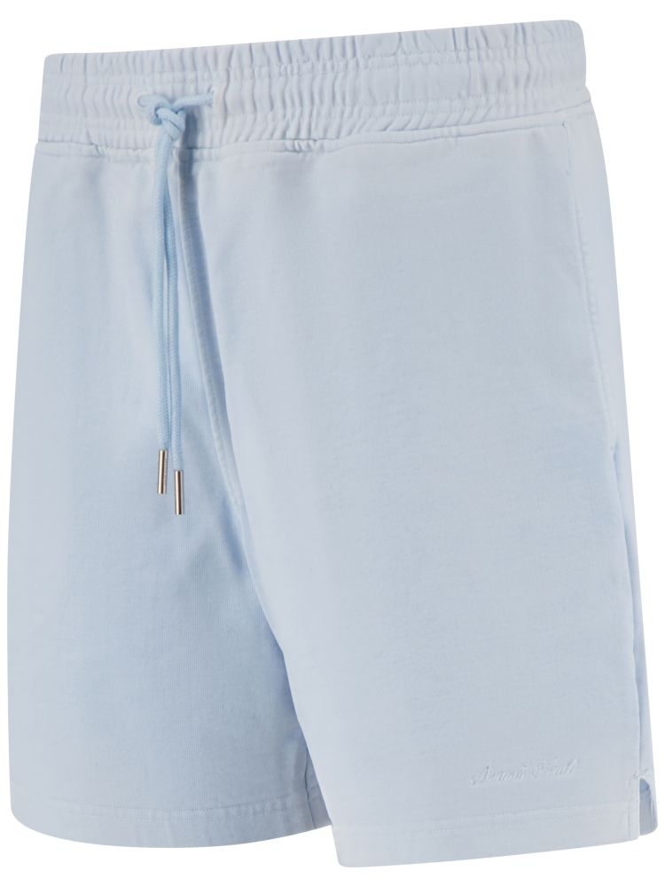 Brams fruit HS26-2097 BLUEBERRY BLUE