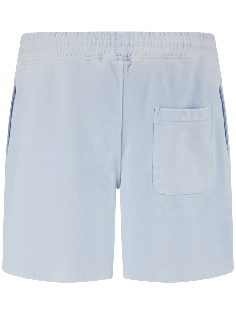 Brams fruit HS26-2097 BLUEBERRY BLUE