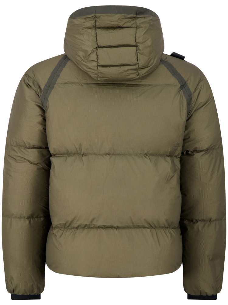 Ma.strum MAS1662 M335 BRONZE GREEN