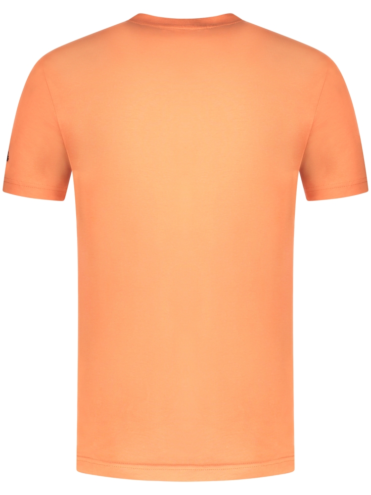 In Gold We Trust The Pusha Light FLAMINGO