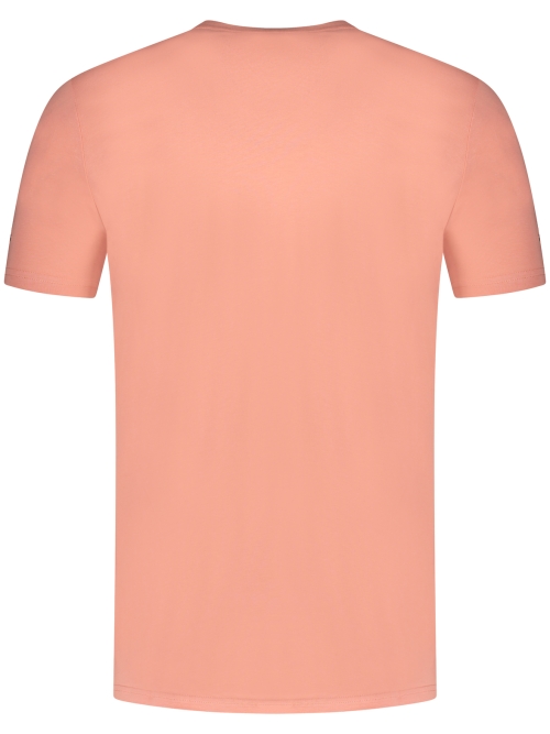 In Gold We Trust The Pusha Light CORAL HAZE foto 2