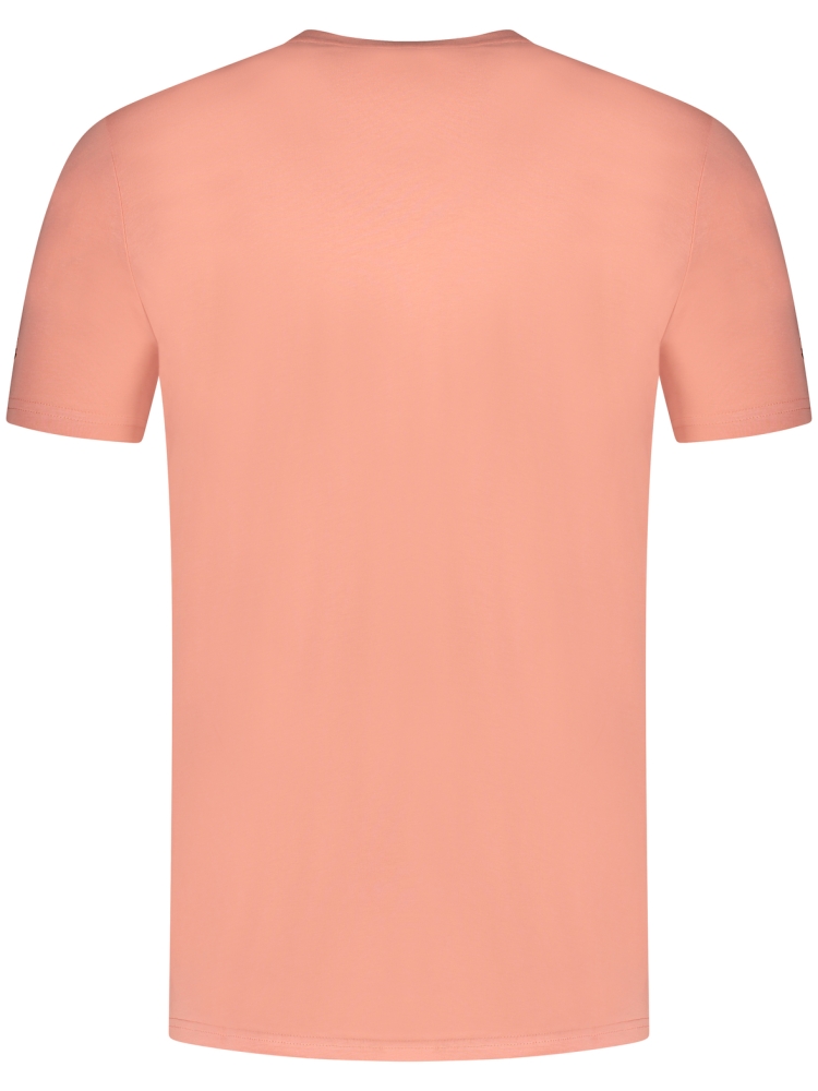 In Gold We Trust The Pusha Light CORAL HAZE