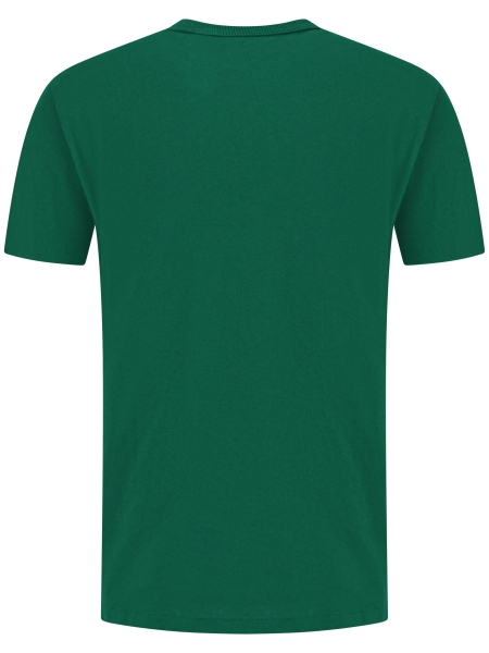 Polo Ralph Lauren  710-811284-W25 046 TENNIS GREEN