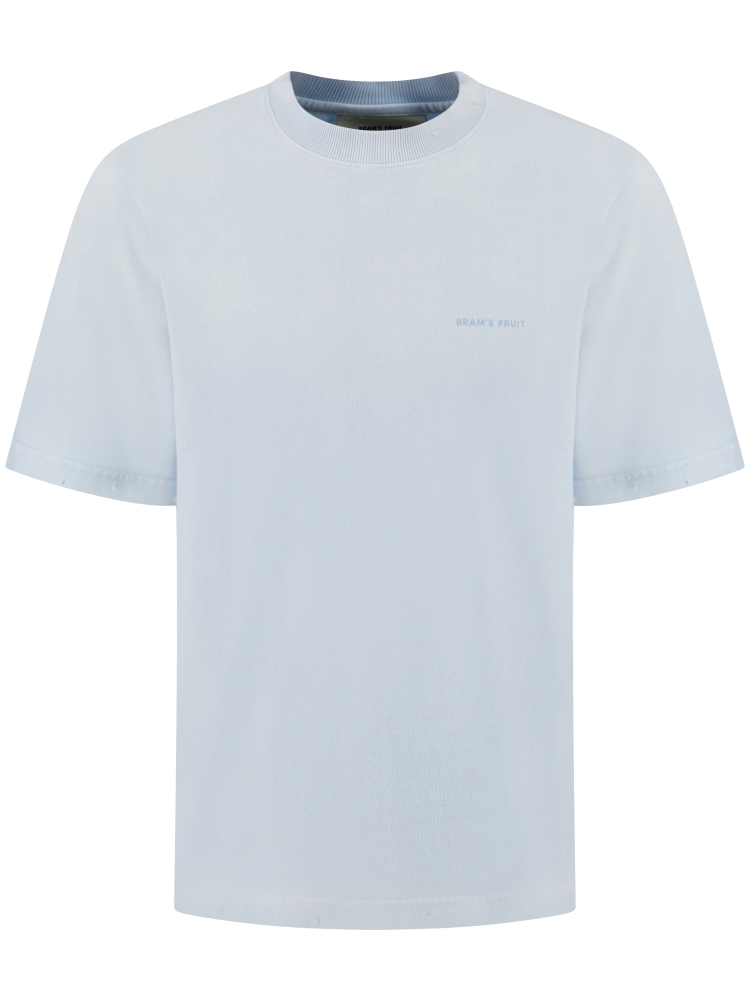 Brams fruit HS26-2023 BLUEBERRY BLUE