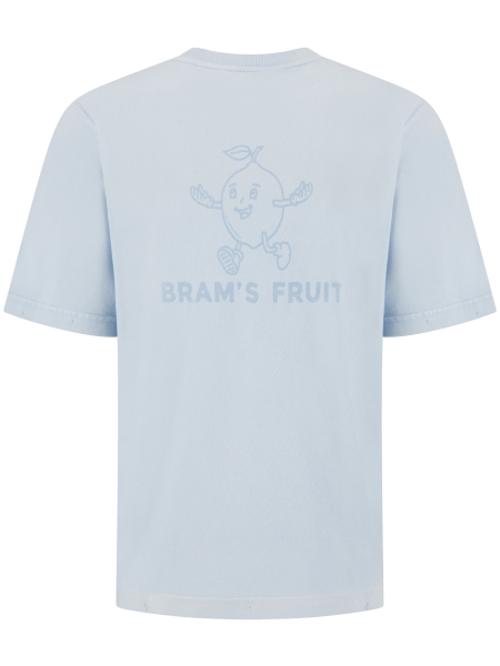 Brams fruit HS26-2023 BLUEBERRY BLUE