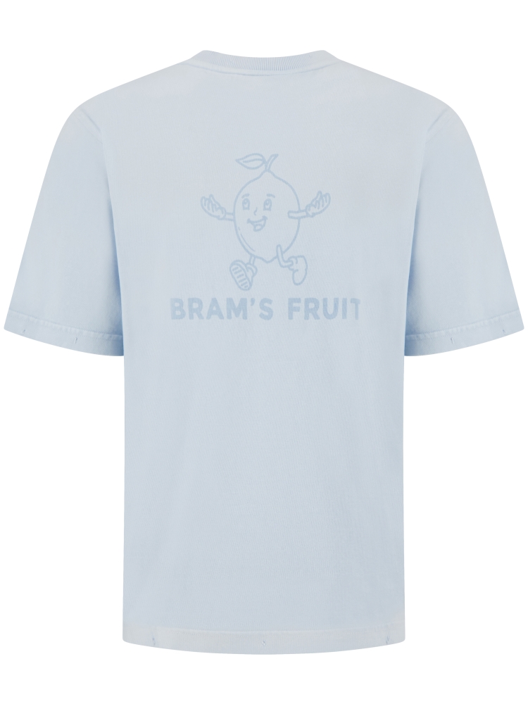 Brams fruit HS26-2023 BLUEBERRY BLUE