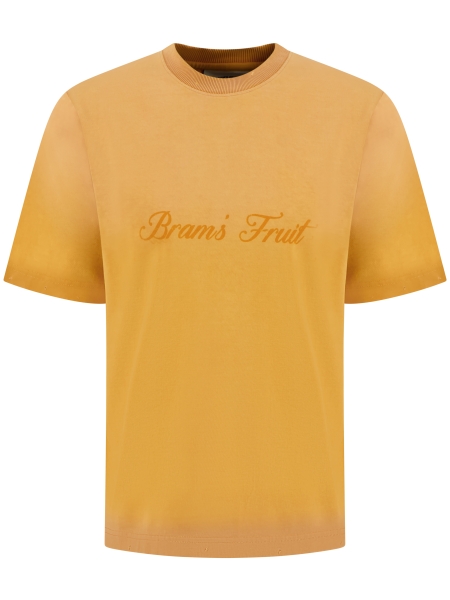 Brams fruit HS26-2087 ORANGE