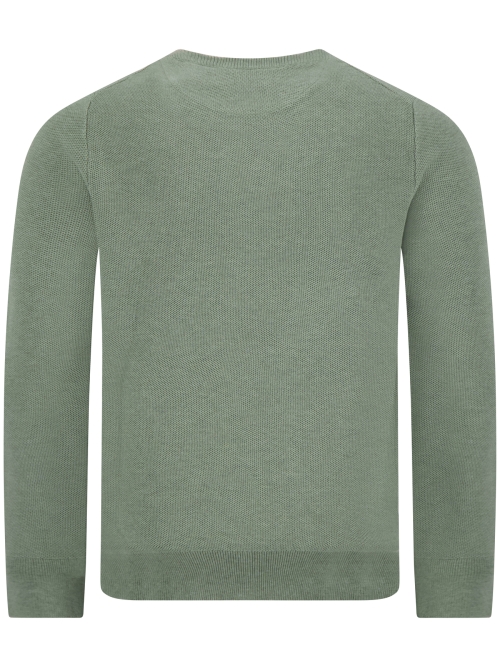 Polo Ralph Lauren  710-918163 522 FERN GREEN H. foto 3