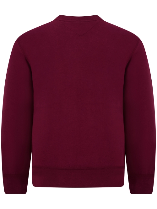 Tommy Hilfiger  MW0MW40000 VLP foto 3