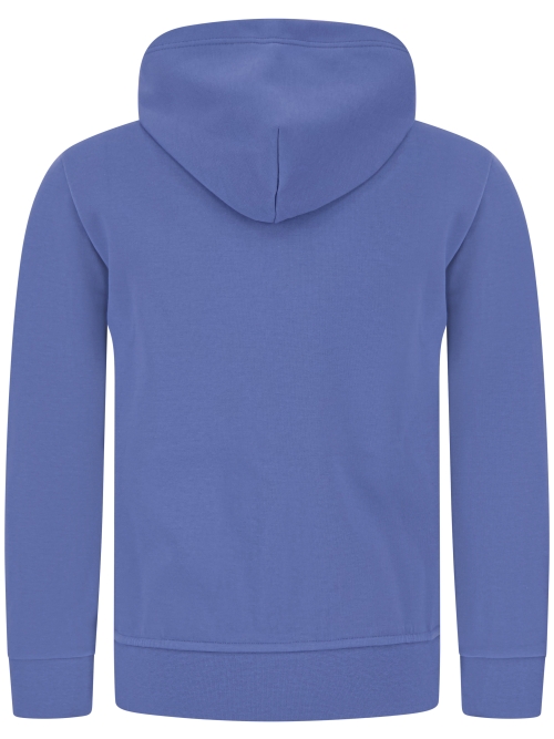 Polo Ralph Lauren  710-881517-W25 071 EARTH BLUE foto 3