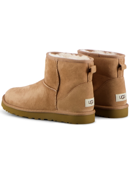  1002072 CHESTNUT