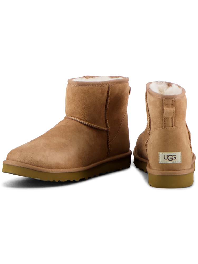  1002072 CHESTNUT