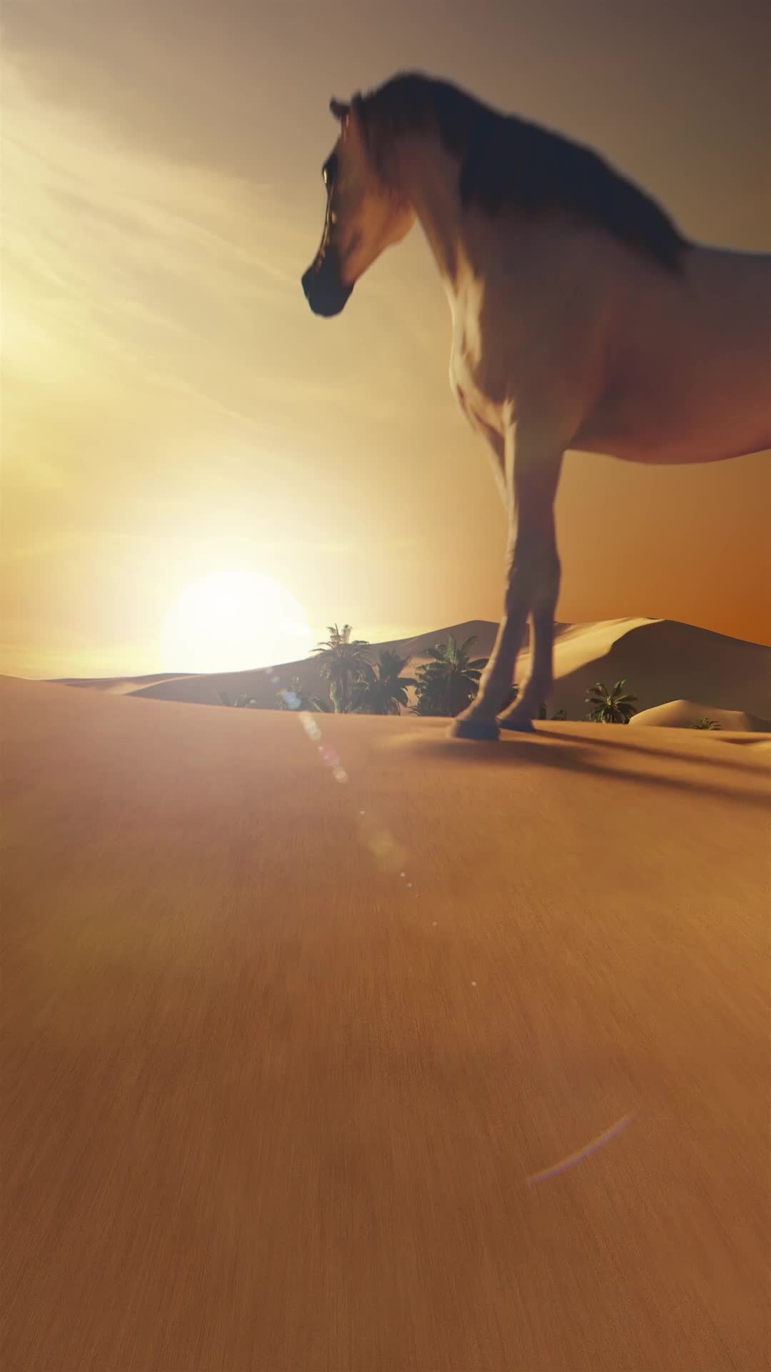 Montale Paris ARABIANS MUSK 100 ml video